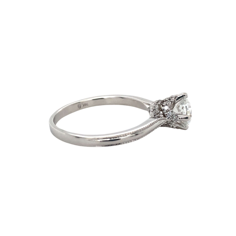 14K White Gold Engagement Ring with Diamond-Encrusted Head - Image 5